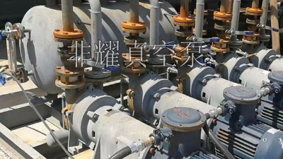 統(tǒng)計防爆水環(huán)真空泵出現(xiàn)跳閘的常見原因【非耀】