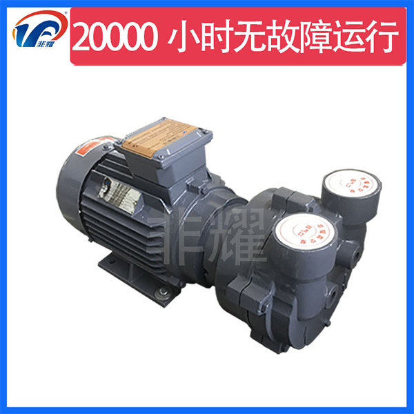 耐腐蝕水環(huán)真空泵