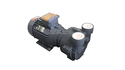 決定2BV水環(huán)真空泵價(jià)格因素有這一點(diǎn)【非耀】