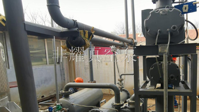 羅茨真空泵結(jié)構(gòu)淺淺來(lái)了解下【非耀】