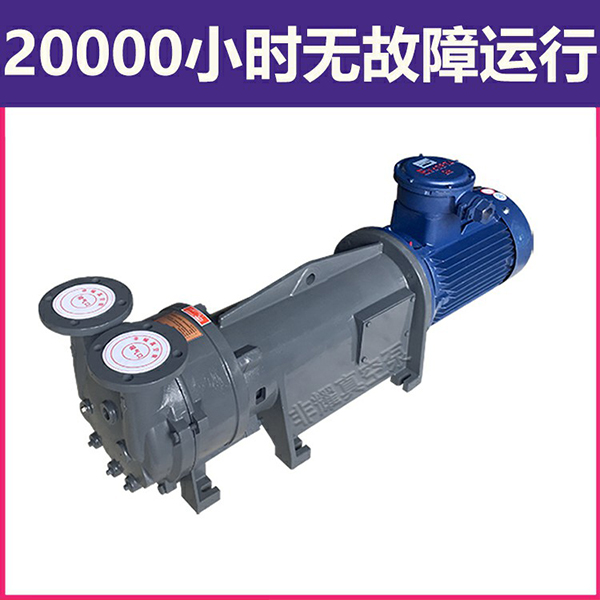 2BV水環(huán)式真空泵