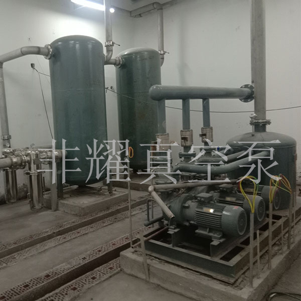 2BV水環(huán)式真空泵