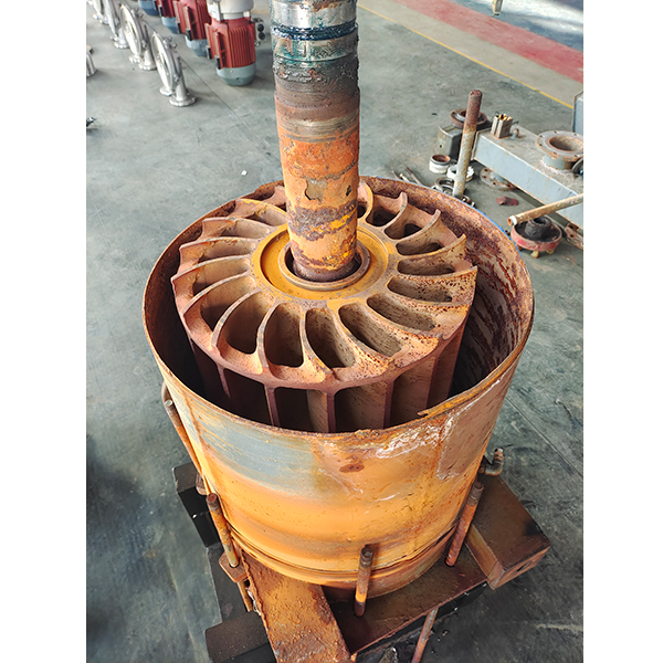 耐腐蝕水環(huán)真空泵