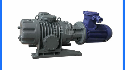 診斷出耐腐蝕羅茨真空泵突然不運(yùn)轉(zhuǎn)的原因【非耀】