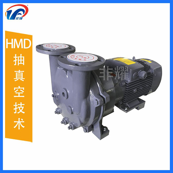 2BV水環(huán)真空泵