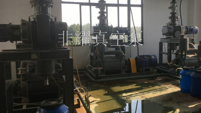 做羅茨真空泵型號(hào)選擇這些因素需關(guān)注【非耀】