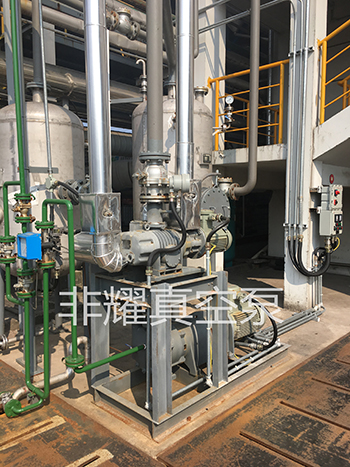 羅茨水環(huán)真空泵機組