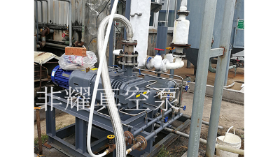 掌握這兩點(diǎn)干式螺桿真空泵的選型變簡(jiǎn)單【非耀】