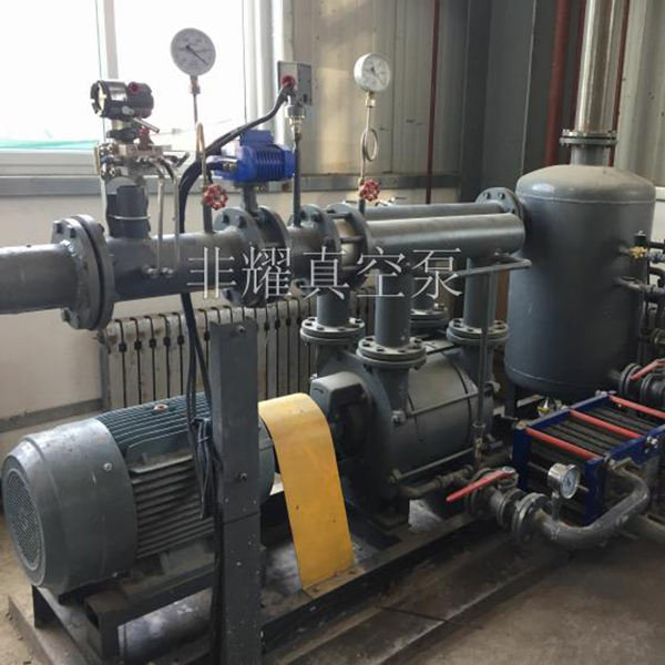 2be水環(huán)真空泵