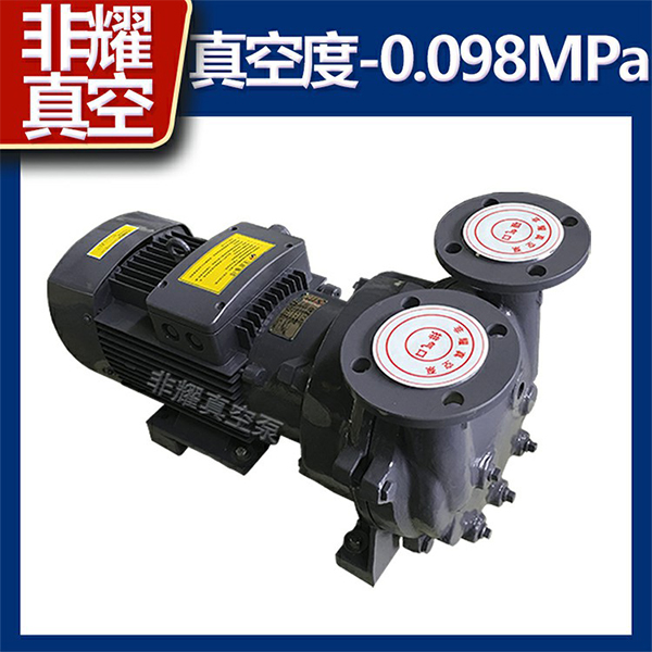 2BV液環(huán)真空泵