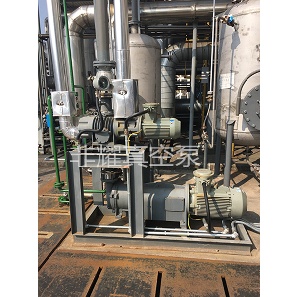 羅茨水環(huán)真空泵機組