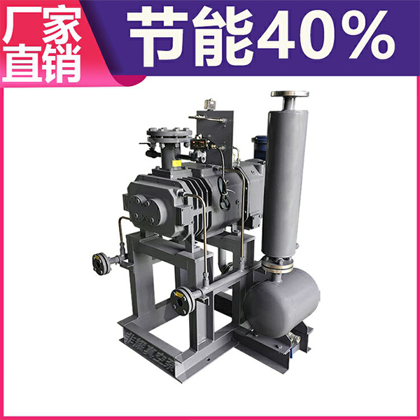 干式螺桿真空泵