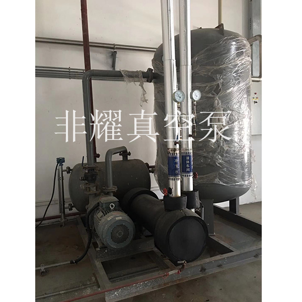 水環(huán)真空泵葉輪