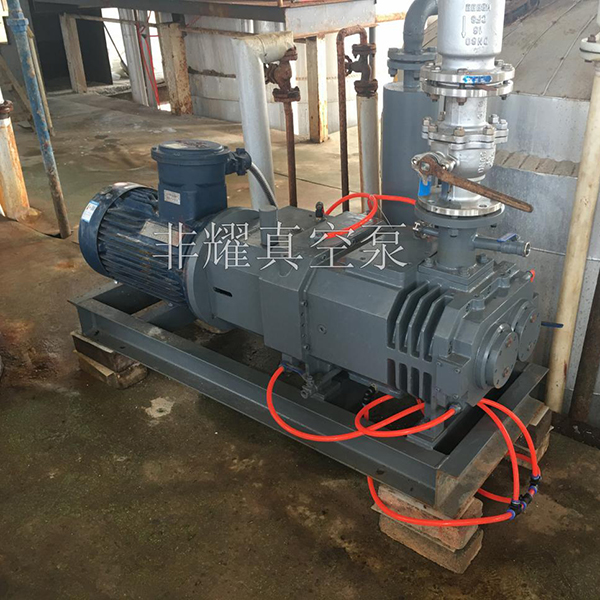 無(wú)油螺桿真空泵