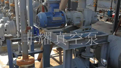 耐腐蝕羅茨真空泵軸承轉(zhuǎn)不動的原因【非耀】