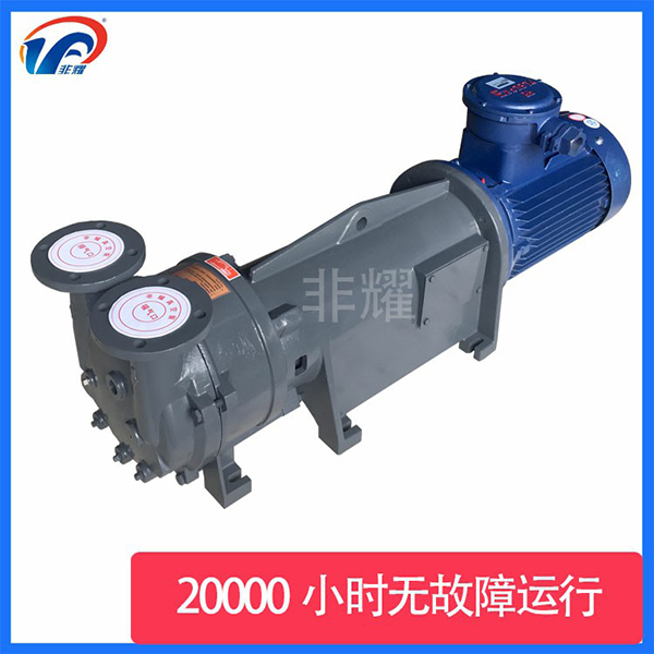 防爆水環(huán)式真空泵
