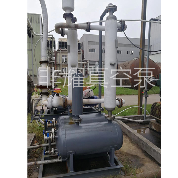 無(wú)油螺桿真空泵