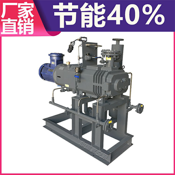 無(wú)油螺桿式真空泵