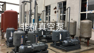 清洗干式螺桿真空泵的方法，建議你收藏【非耀】
