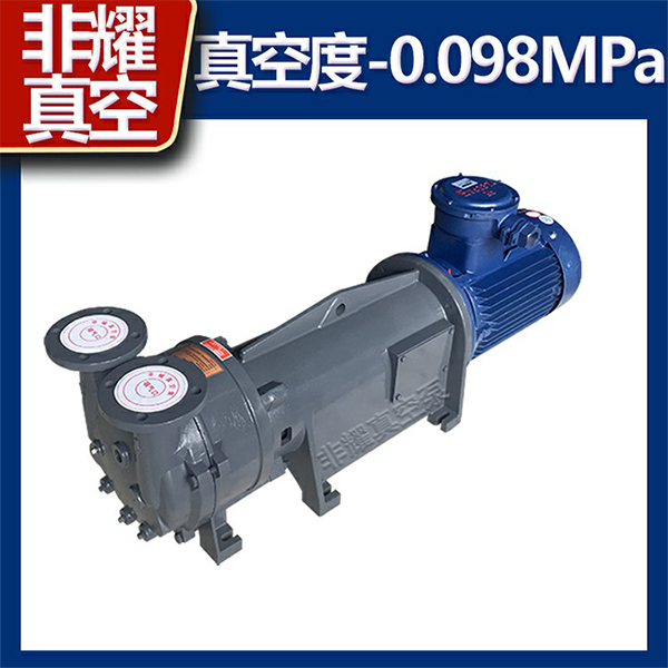 防爆水環(huán)真空泵