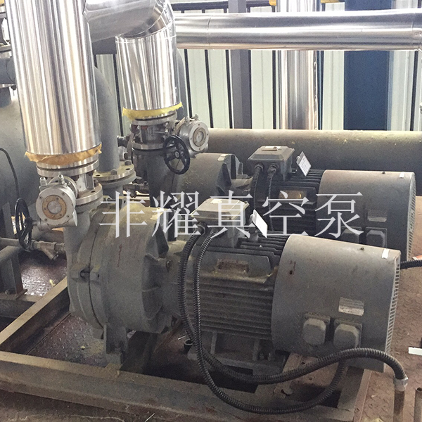 水環(huán)式真空泵葉輪