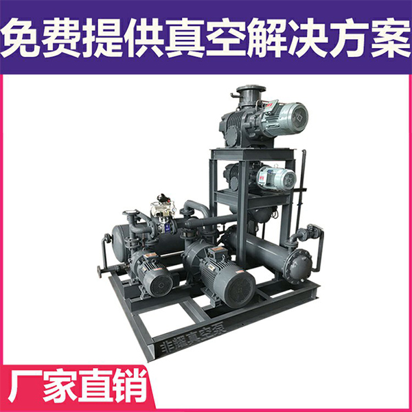羅茨水環(huán)真空泵機(jī)組