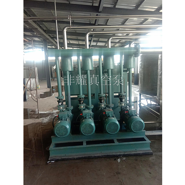 不銹鋼水環(huán)真空泵