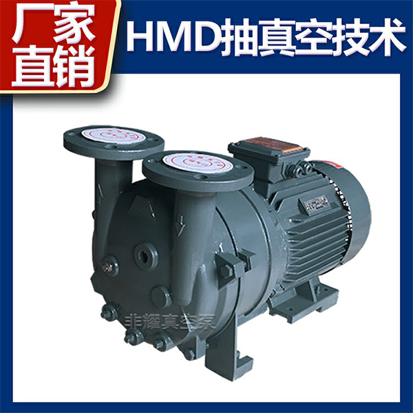 防爆水環(huán)真空泵