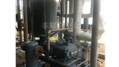 無油螺桿真空泵結(jié)構(gòu)原理一目了然【非耀】