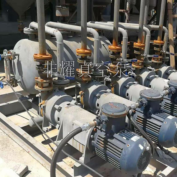 變頻水環(huán)真空泵