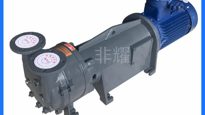 耐腐蝕水環(huán)真空泵出現(xiàn)跳閘的常見原因【非耀】