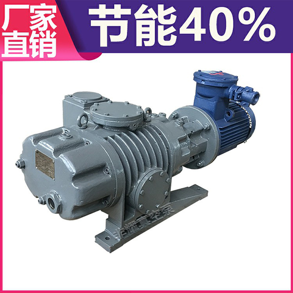 羅茨真空泵維護(hù)