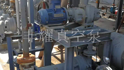 羅茨水環(huán)真空泵機(jī)組適用行業(yè)推薦【非耀】