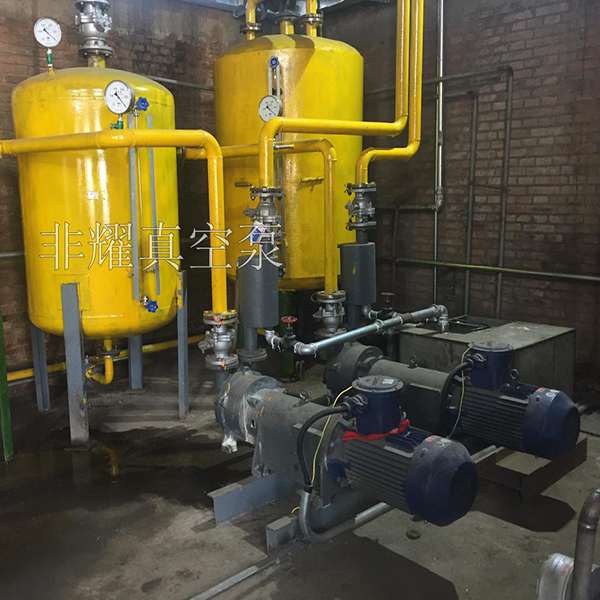 水環(huán)真空泵