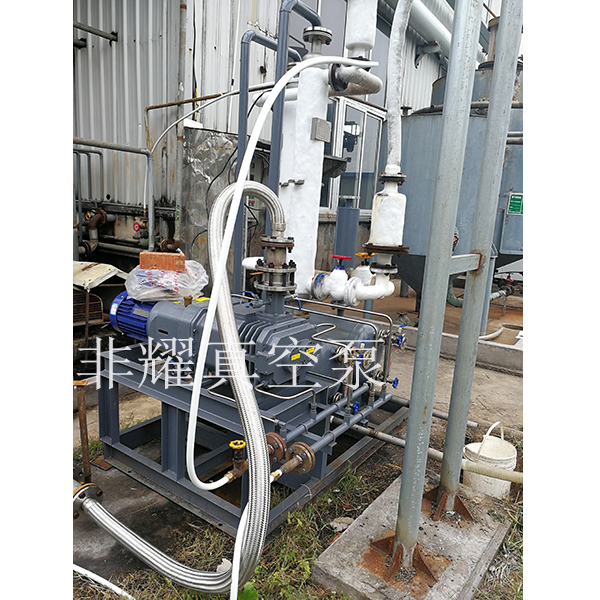 耐腐蝕螺桿真空泵